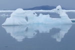Icebergs et banquise 016 1677